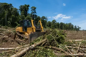 Land clearing bulldozer pushing trees and debris on site with forest background under blue sky