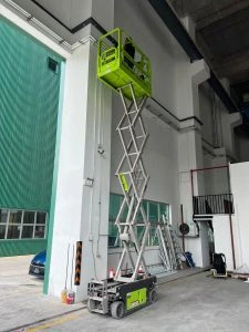 rr-1-225x300